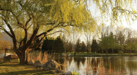 Bursa Botanik Park 15 gün daha kapalı kalacak