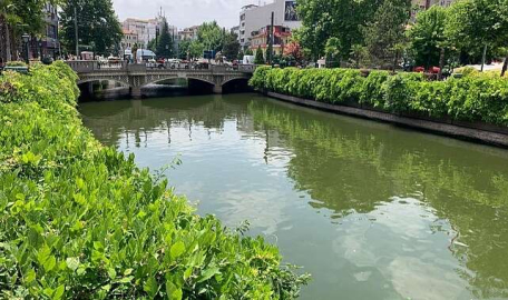 Porsuk Çayı kenarları yeşil örtüyle kaplandı