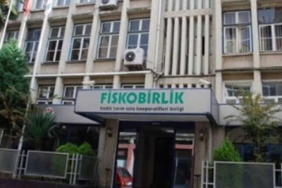 FİSKOBİRLİK Müfettiş Yardımcısı Alacak