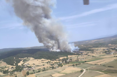 Çanakkale'de orman yangını