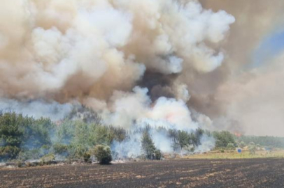 Çanakkale'de orman yangını