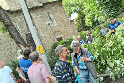 Bursa'da bayram alışverişi yapanların üzerine ağaç devrildi