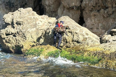 Denize düşen köpeği Sahil Güvenlik ekipleri kurtardı