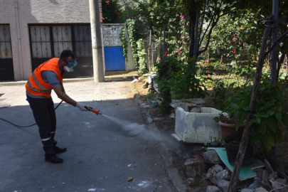 Yıldırım'da ilaçlama çalışmaları devam ediyor