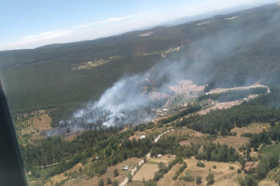 Bursa'nın dağ ilçesinde orman yangını