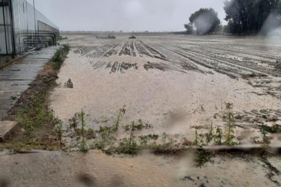 Bursa'da sağanak yağış tarım alanlarını vurdu