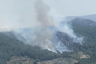 İzmir'de orman yangını