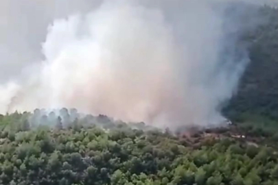 İzmir Çeşme'de orman yangını: 3 ölü