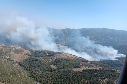 Hatay'da orman yangını