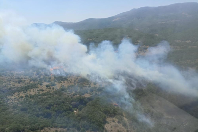 Bursa'da orman yangınına havadan ve karadan müdahale sürüyor