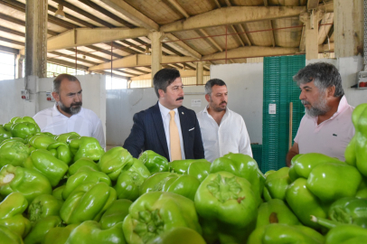 Yenişehir Biberi’nin değeri artırılacak