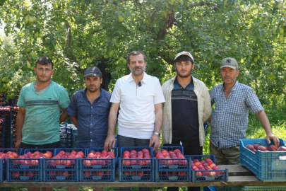 Bursa Şeftalisi'ne Avrupa'dan tescil müjdesi