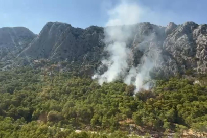 Antalya'daki orman yangını kontrol altına alındı