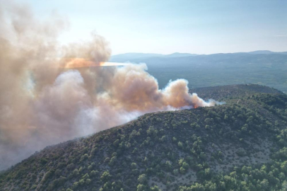 Bursa'da orman yangını