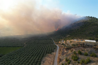 Bursa'daki orman yangını kontral altına alındı