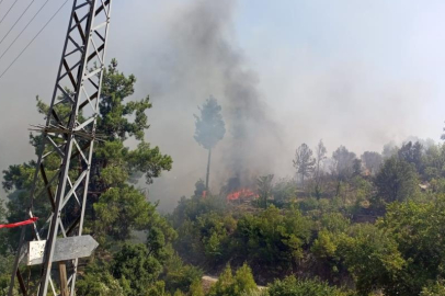 Evde çıkan yangın ormana sıçradı