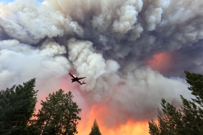 California'da yangın dehşeti: 145 bin dönüm alan kül oldu