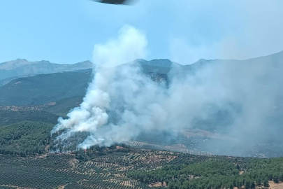 Hatay'da orman yangını