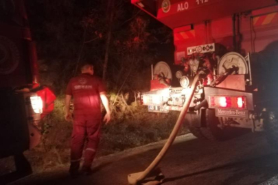 Kahramanmaraş'taki orman yangınına müdahale sürüyor