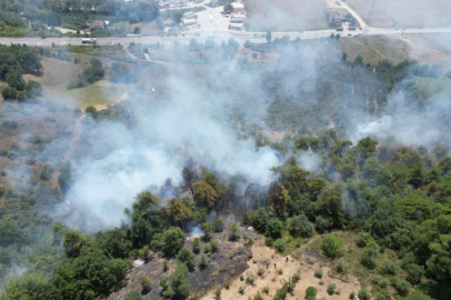 Sakarya'da orman yangını