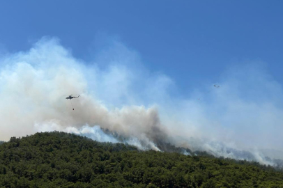 İzmir'deki orman yangınında 120 konut tahliye edildi