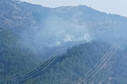 Orman yangınına müdahale eden helikopter düştü