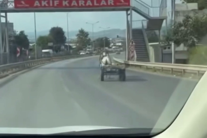 Bursa'da başıboş at arabasının tehlikeli anları...