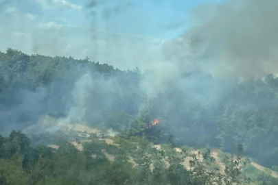 Bursa'da ormanlık alanda yangın