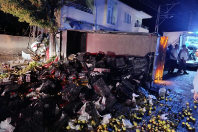 Freni boşalan kamyonet ortalığı savaş alanına çevirdi