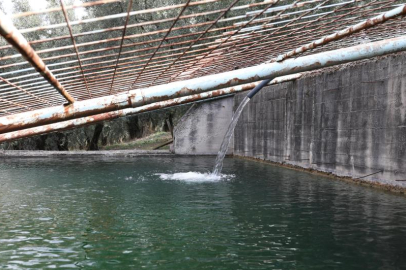 Gemlik Belediyesi'nden çiftçiye can suyu