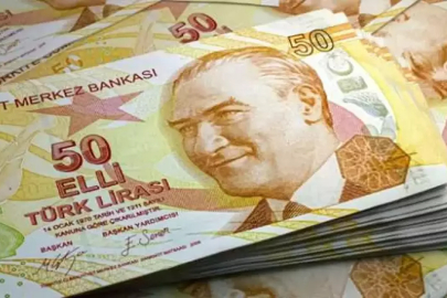 50 TL ve 5 TL’lik yeni banknotlar tedavüle verildi