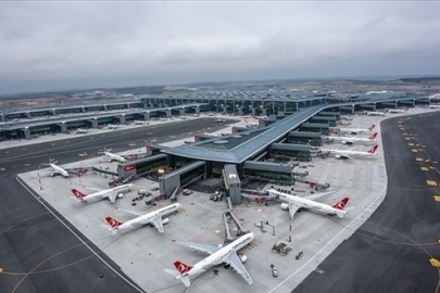 İstanbul Havalimanı’nda goril yavrusu yakalandı