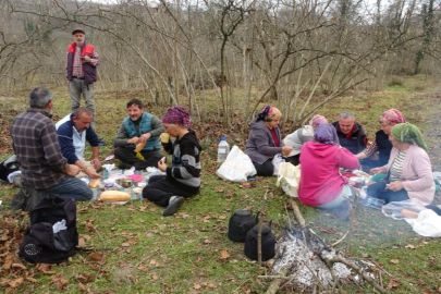 Fındık bahçelerinde kış bakımı başladı