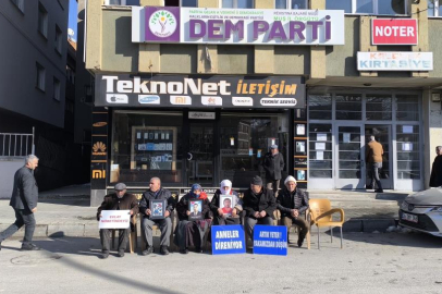 Evlat nöbetindeki anneler yeni yıldan umutlu