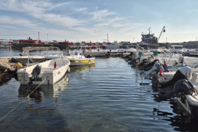 Marmara Denizi'nde müsilaj yeniden ortaya çıktı