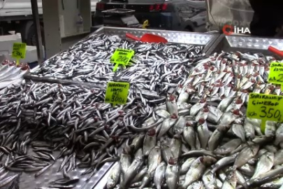 Bursa'da hamsi yeni yıla ucuzlayarak girdi