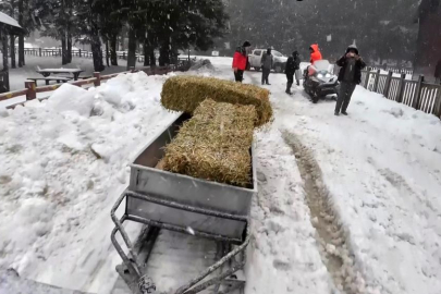 Bursa'da yaban hayvanları için doğaya yem bırakıldı