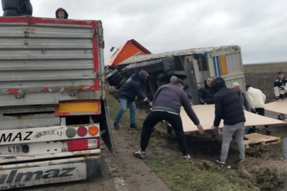 Kontrolden çıkan kamyon tarlaya devrildi